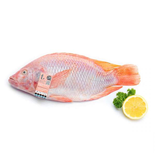 Seafood